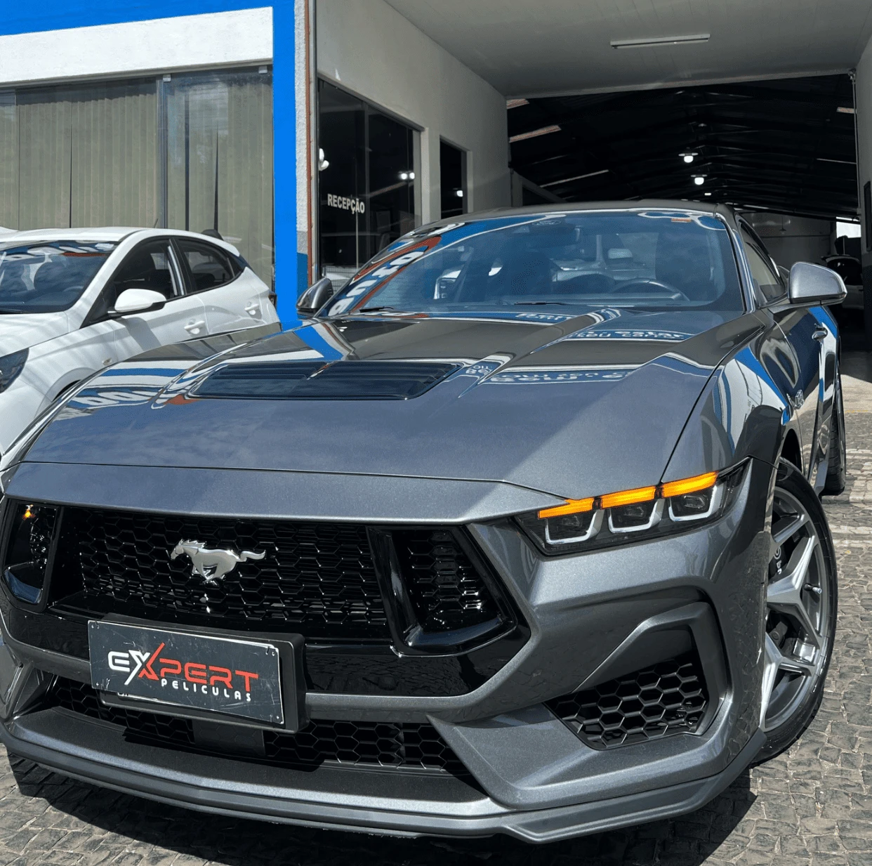 Mustang
