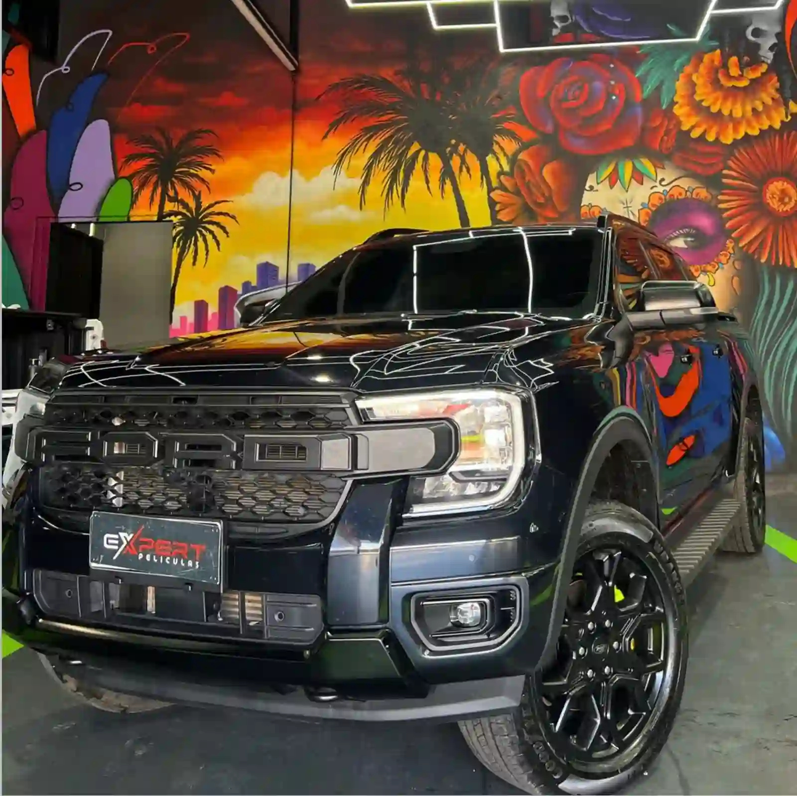 Customização